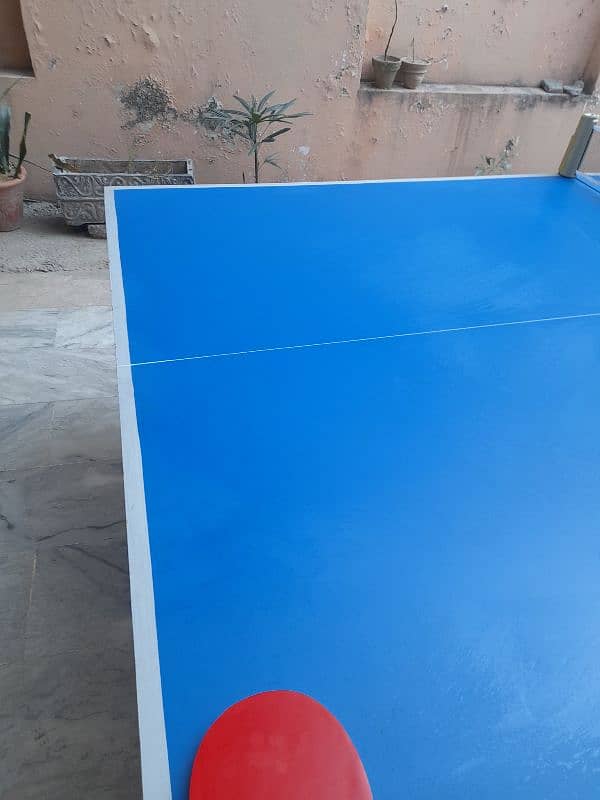 Table tennis Table 7