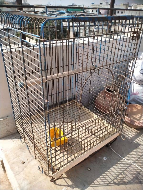 cage for sale 1