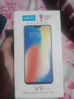 vivo