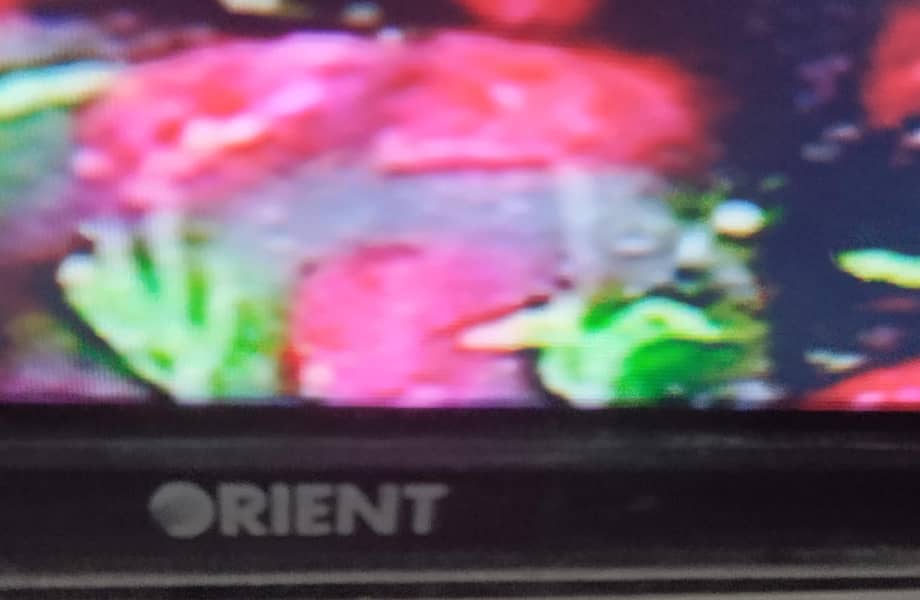 Orient LED Condition 10/10 2