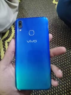 vivo