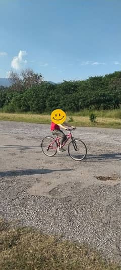 Giant bike in pink color