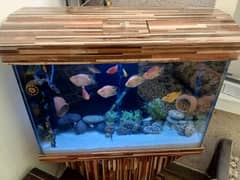 aquarium sell