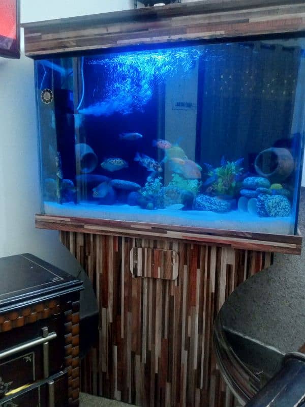 aquarium sell 2