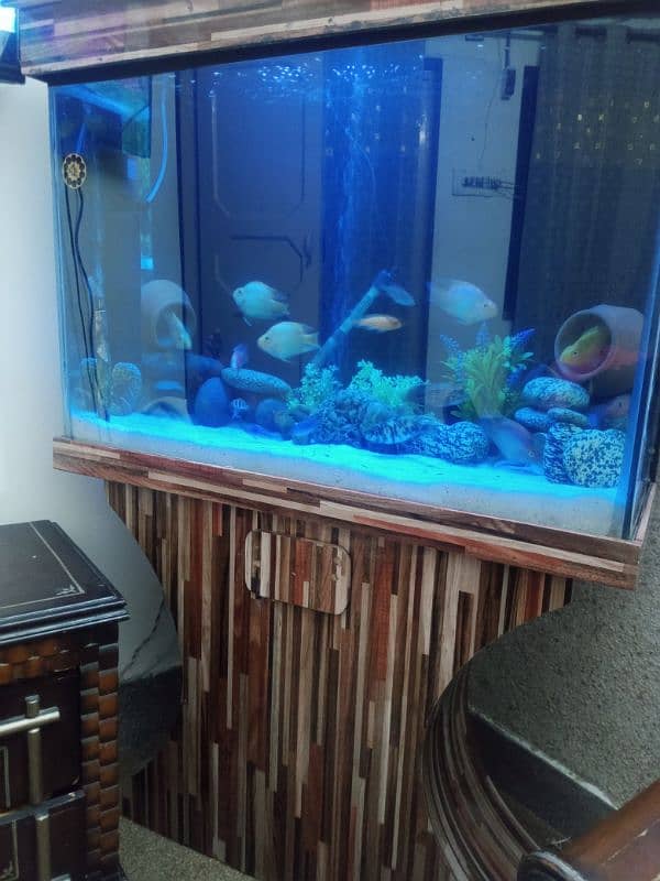 aquarium sell 3