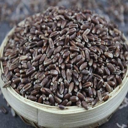 Black Wheat Premium Quality 0