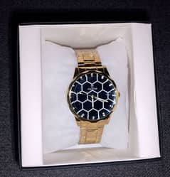 Aqua Time Golden Watch for men