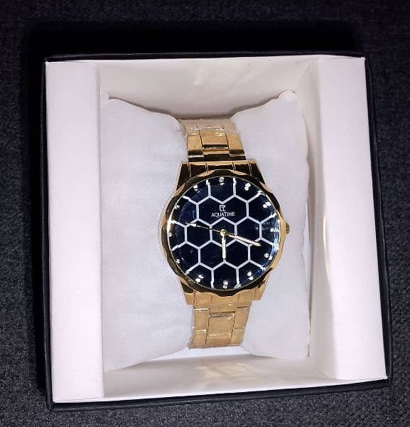 Aqua Time Golden Watch for men 0