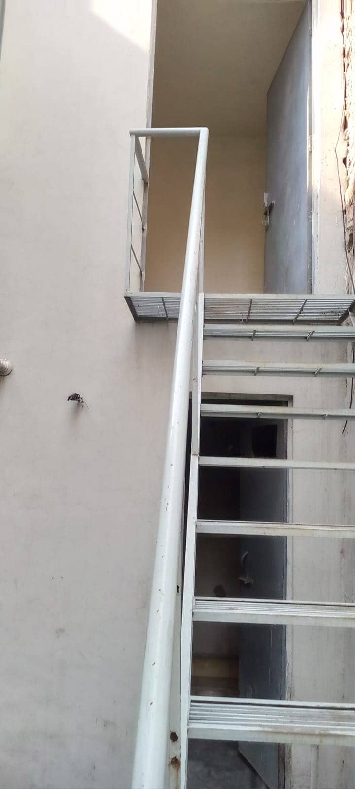 1 Kanal Double Storey House Available For Rent In Punjab Society Phase 1, PIA Road Vip Location, Separate Servant Quarter With Kitchen And Washroom 5