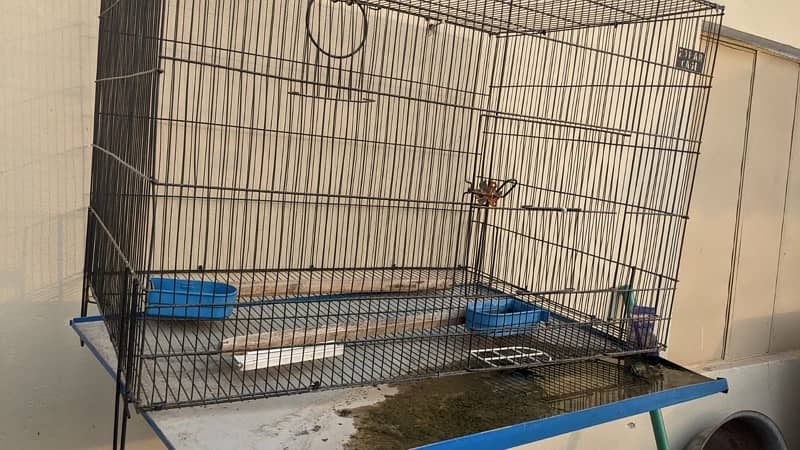 parrot cage 1