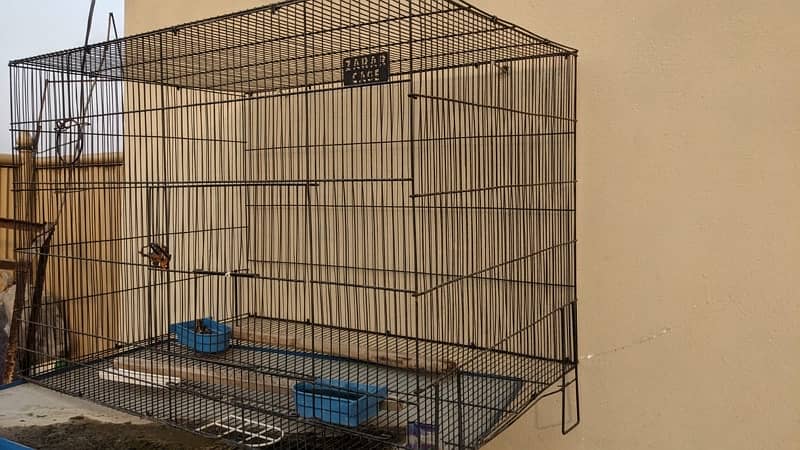 parrot cage 2