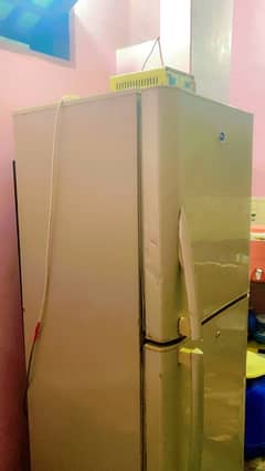 PEL fridge full size with stabiliser