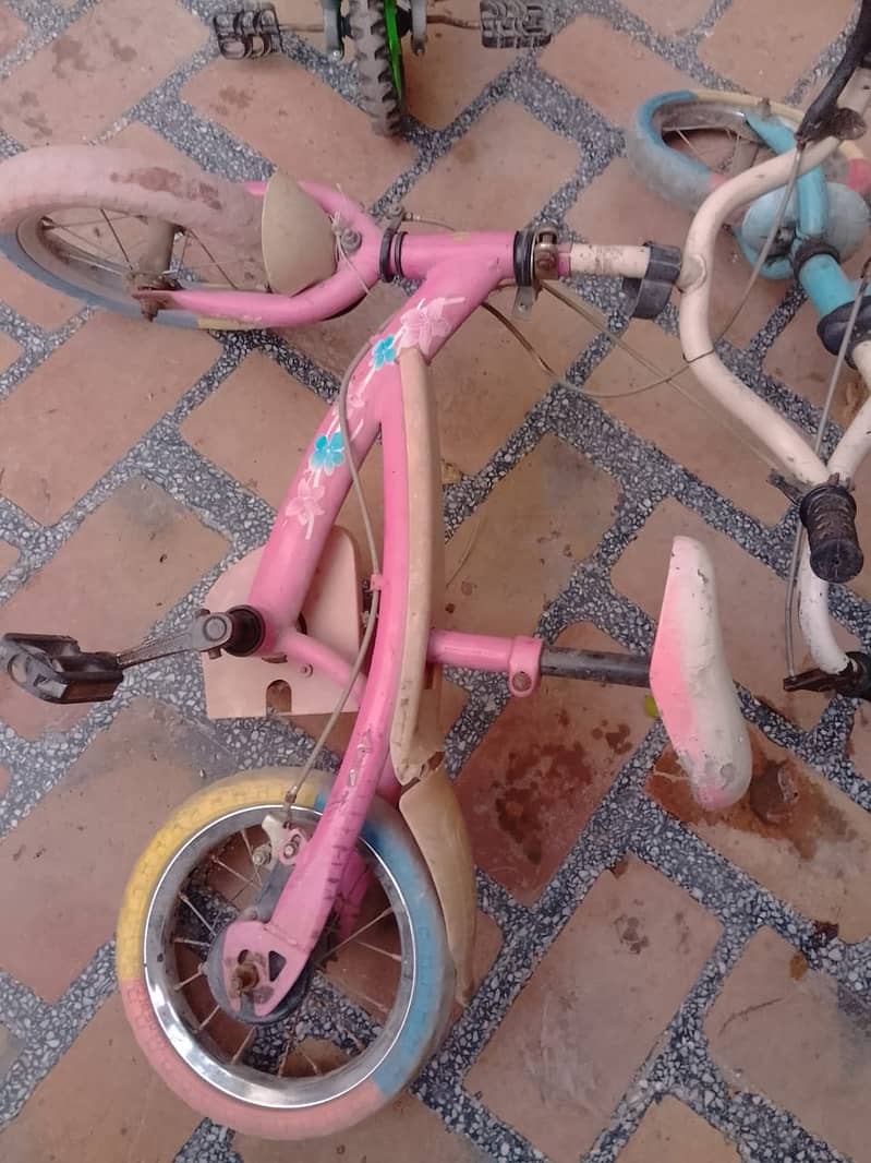 Blue & Pink Medium Size Cycles 6