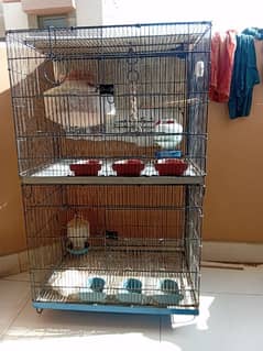 Birds Cages