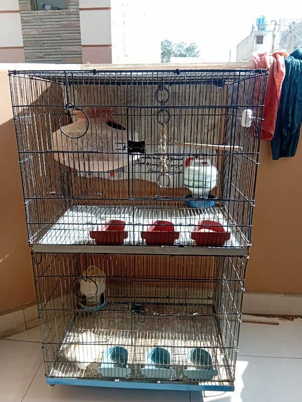 Birds Cages 1