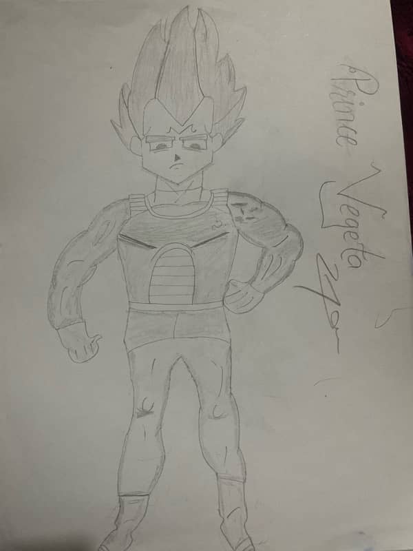 Prince Vegeta  Drawing with 1 pencil only also capable to erase 0