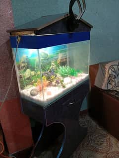 fish aquarium for sale only few months use