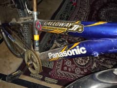 Panasonic bicycle