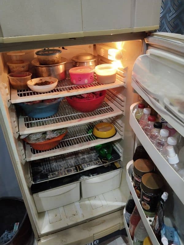 PEL fridge 7