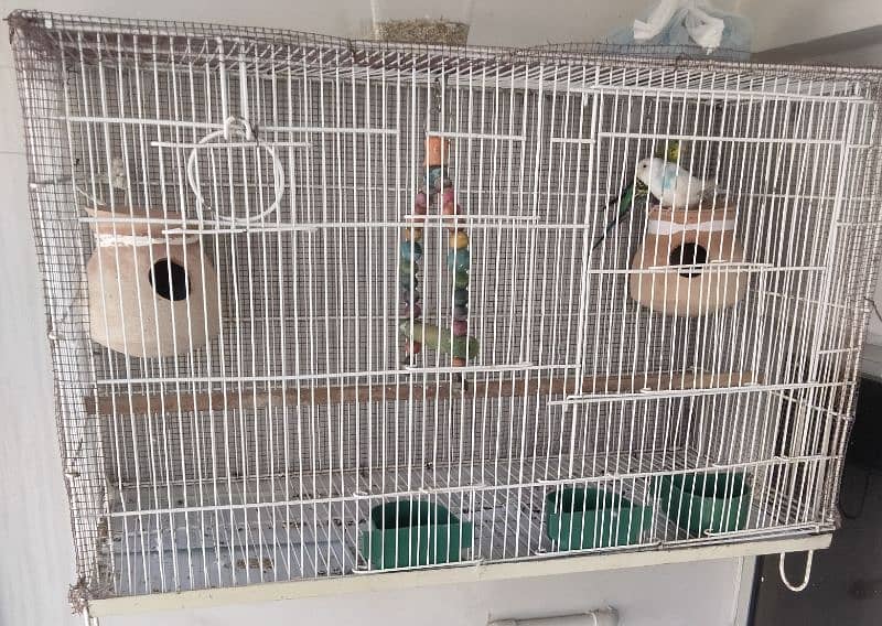 bird's cage 0