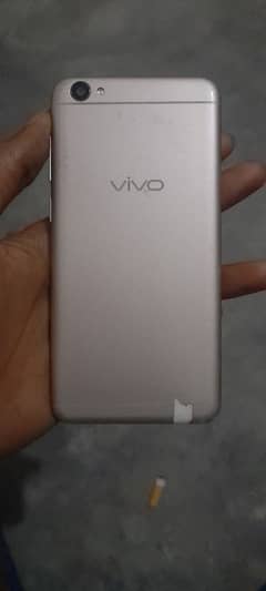 vivo