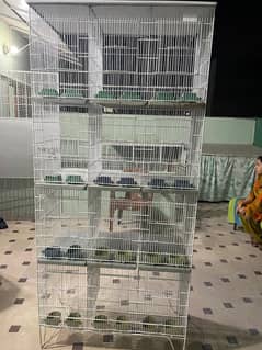 birds cage