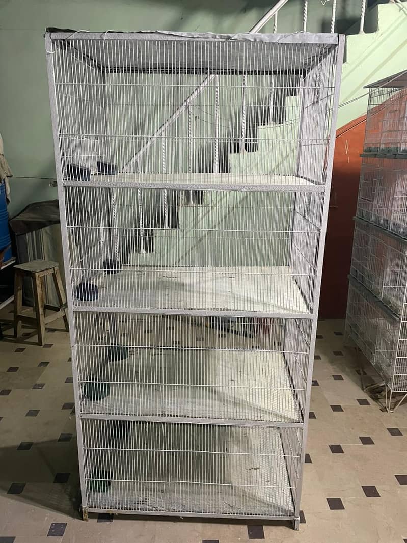 birds cage 4