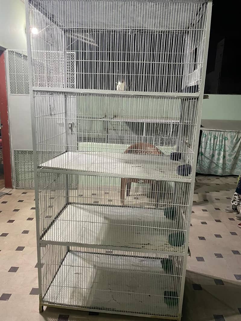 birds cage 5