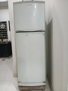 Singer large size fridge