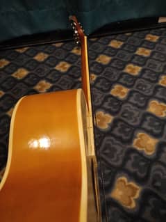 Acoustic guitar