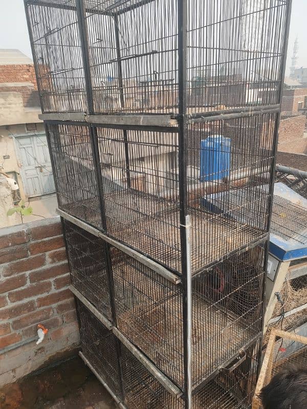 Mashallah Full angle cage for sale 0