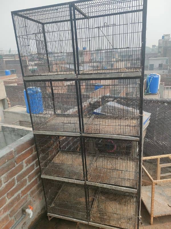 Mashallah Full angle cage for sale 1