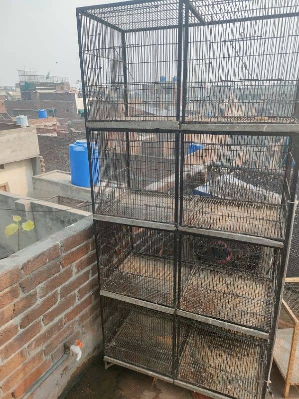 Mashallah Full angle cage for sale 2