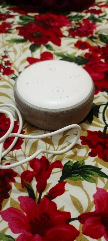 echo dot 3rd generation used with charger 6