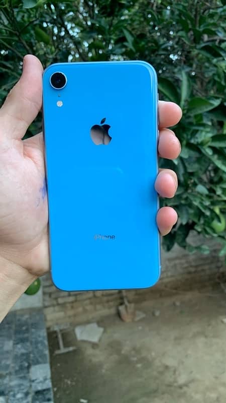 iPhone  Xr jv . 13