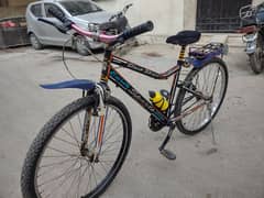 Best Imported Cycle