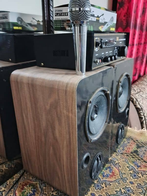 Woofers Pair And Amplifier 3