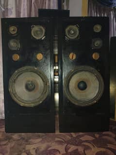 12' inch Speakers Pair with Sony Tuters Mount in Woofers Box