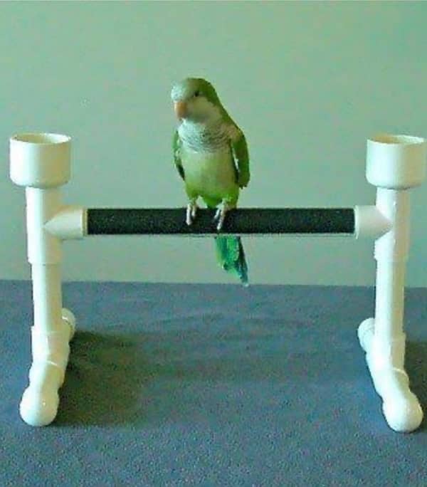 Bird stand, Stand for parrots 0