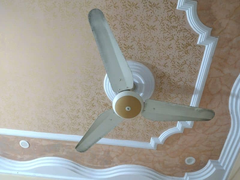 celling fan 0