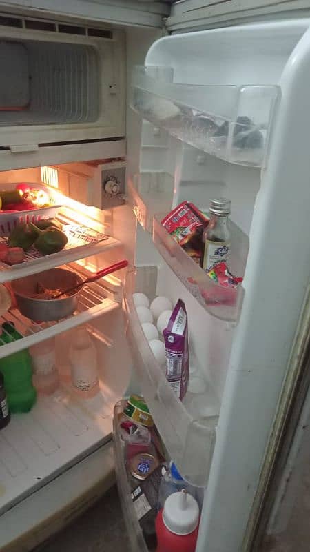 PEL Refrigerator 2