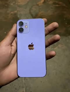 iphone 12 mini purple colour available