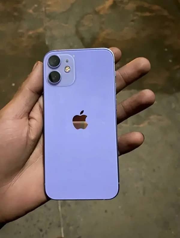 iphone 12 mini purple colour available 0