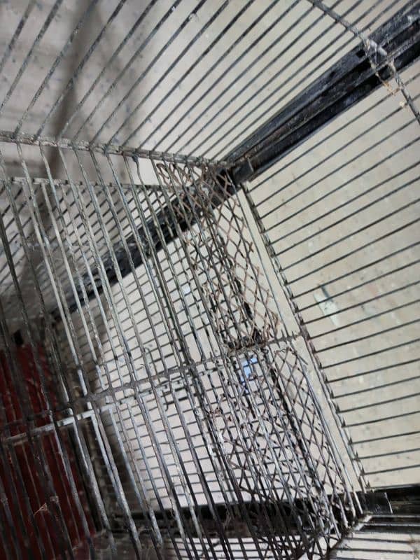 8 PORTION ANGLE CAGE FOR SELL JHANGIR 4