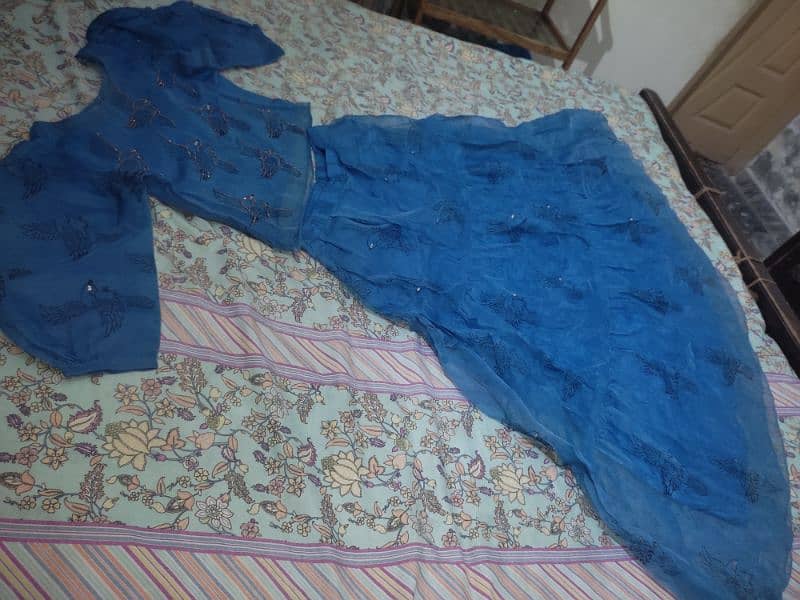 Blue organza embroidered skirt Shirt 1