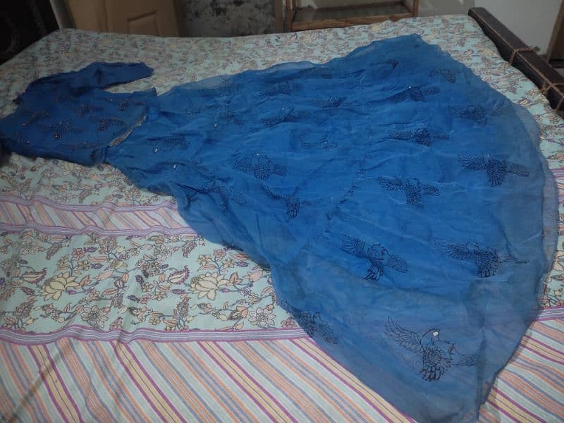 Blue organza embroidered skirt Shirt 2