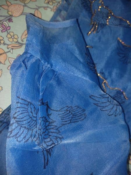 Blue organza embroidered skirt Shirt 3