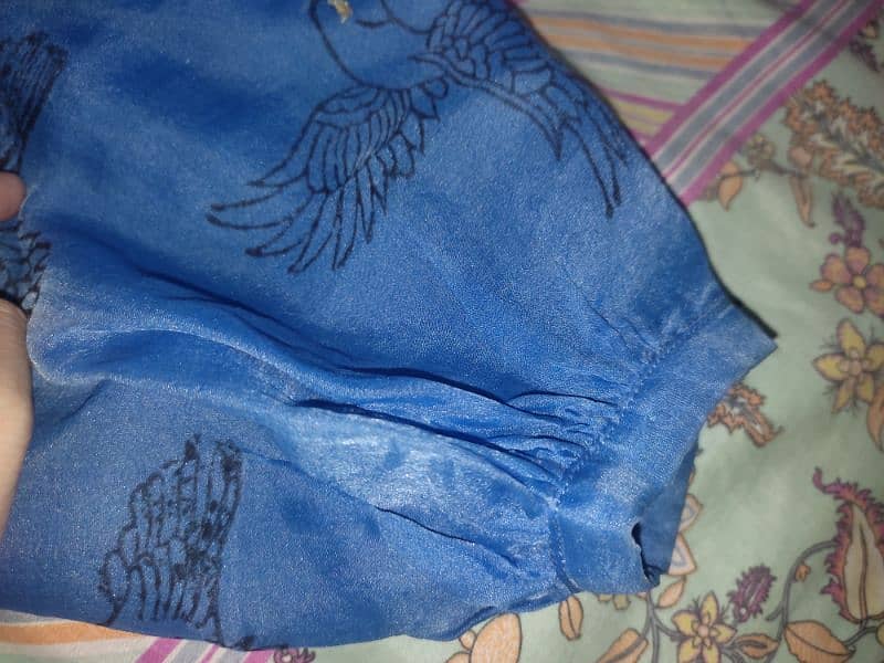 Blue organza embroidered skirt Shirt 4