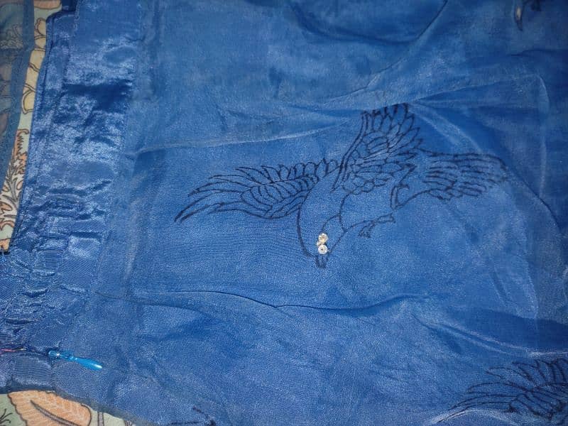 Blue organza embroidered skirt Shirt 5