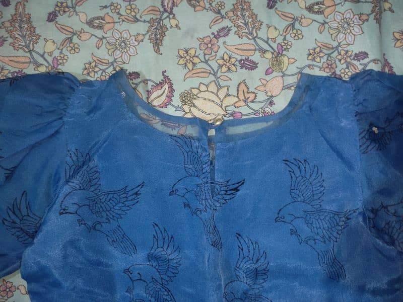 Blue organza embroidered skirt Shirt 6